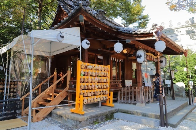 所沢・川越_川越_01_10 - D.jpg